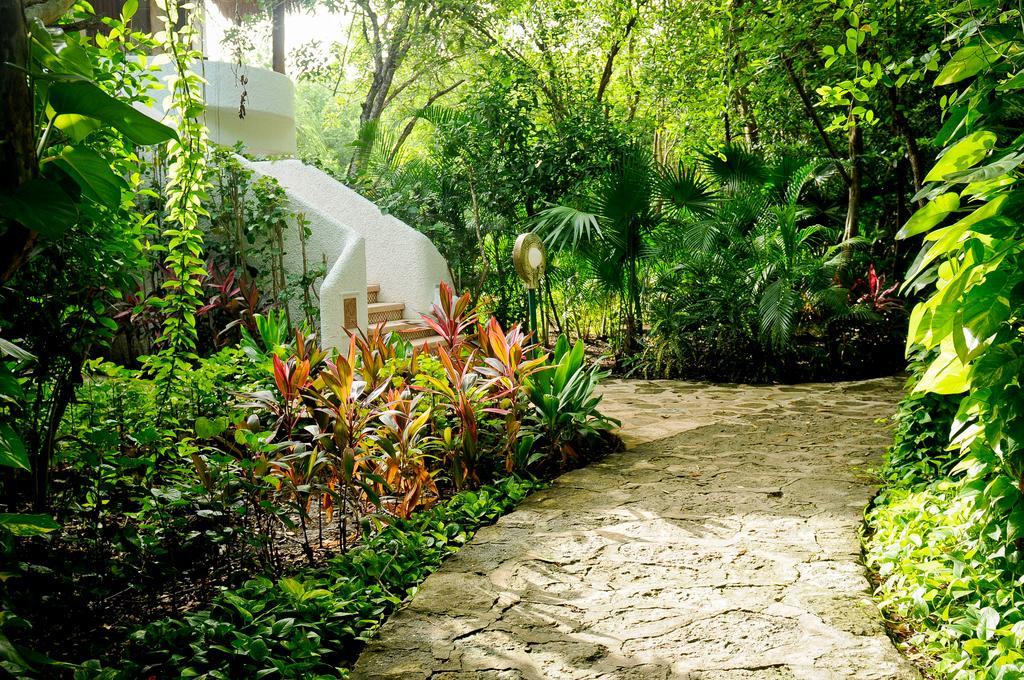 Amarte Maroma Hotel Eco Boutique Spa Punta Maroma 外观 照片