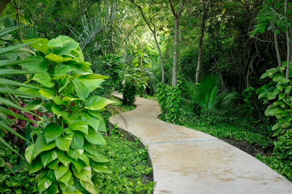 Amarte Maroma Hotel Eco Boutique Spa Punta Maroma 外观 照片