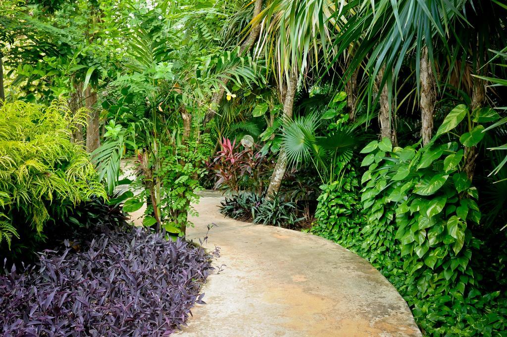 Amarte Maroma Hotel Eco Boutique Spa Punta Maroma 外观 照片