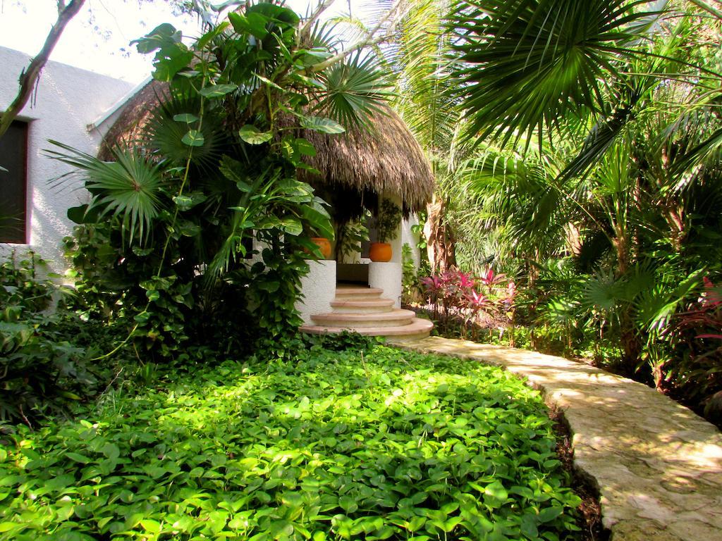 Amarte Maroma Hotel Eco Boutique Spa Punta Maroma 外观 照片