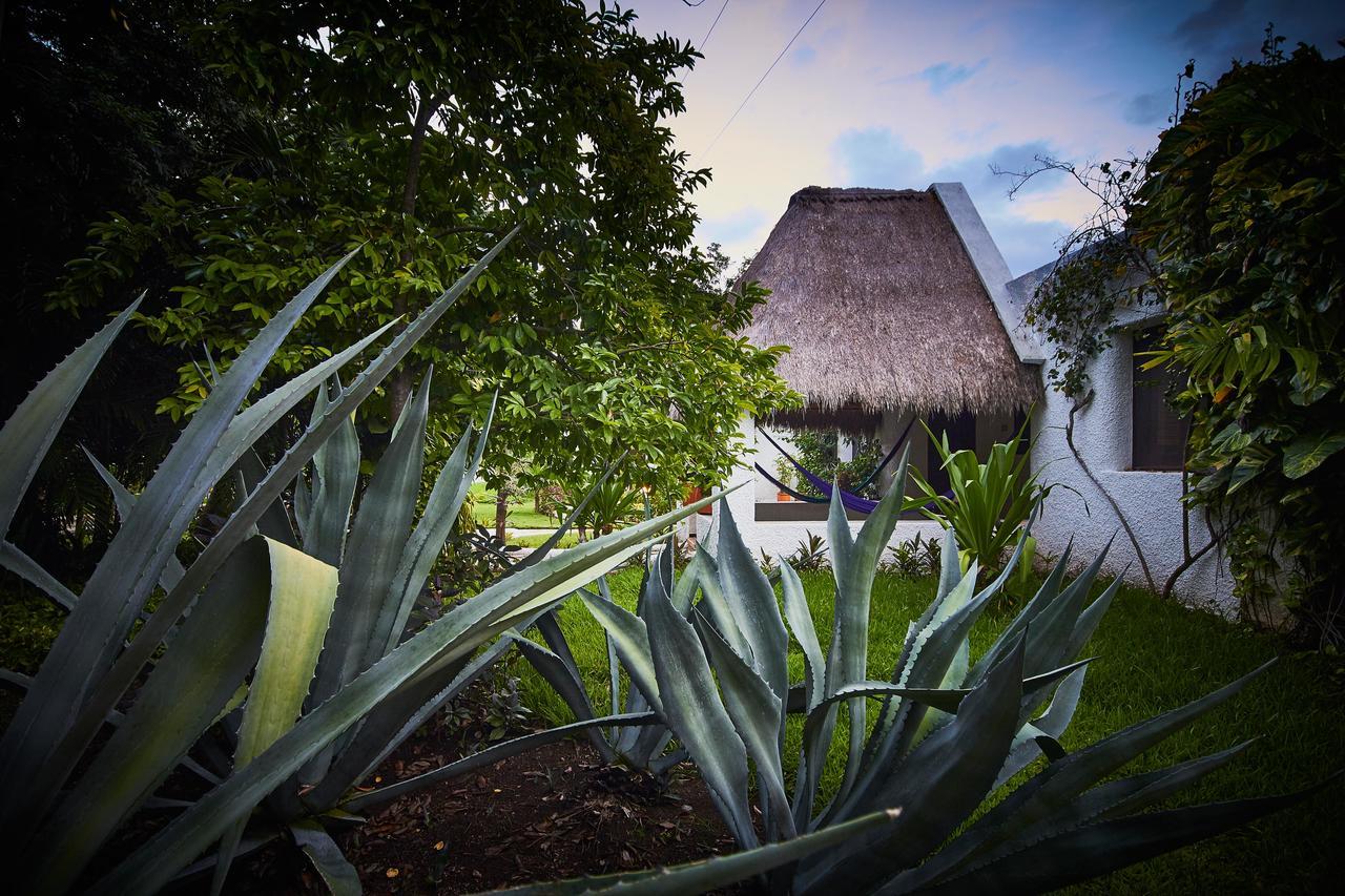 Amarte Maroma Hotel Eco Boutique Spa Punta Maroma 外观 照片