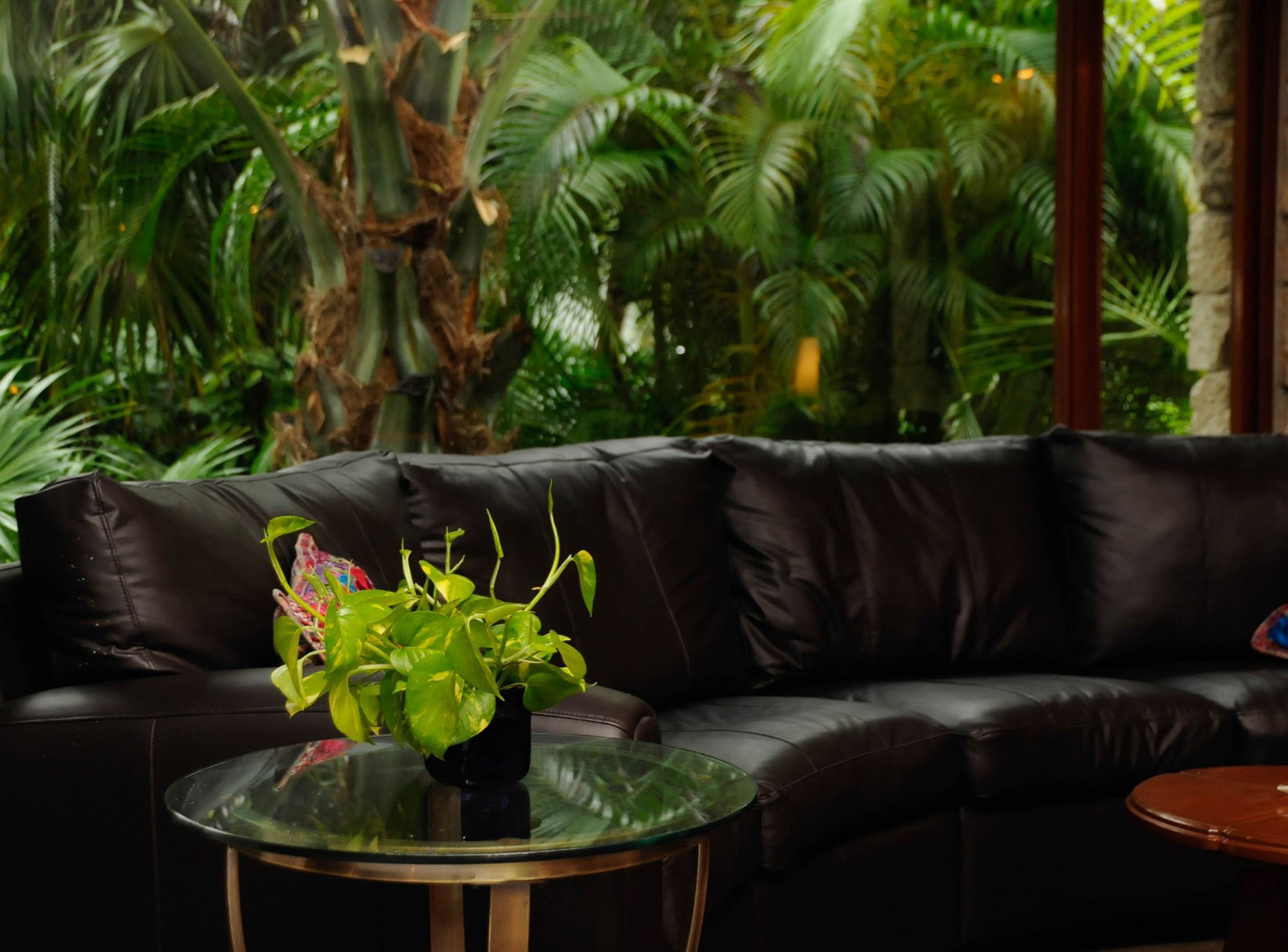 Amarte Maroma Hotel Eco Boutique Spa Punta Maroma 外观 照片